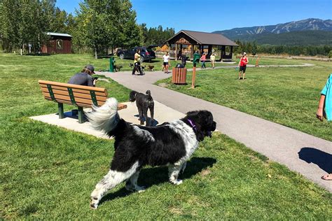 The 10 Best Dog Parks in the United States .
